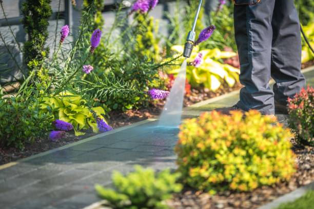Best Roof Cleaning and Mildew Removal in Woodsboro, MD