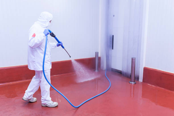 Best Concrete Surface Cleaning in Woodsboro, MD
